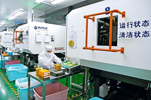 結對合作助轉型，數字技術賦能企業新飛躍